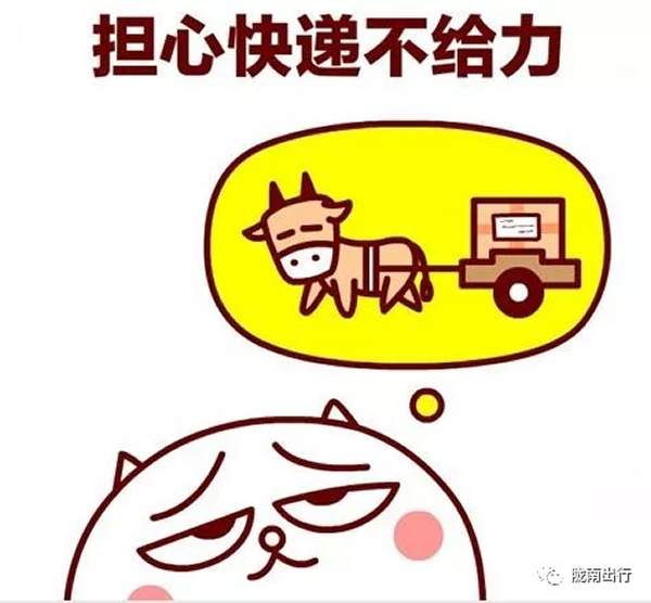 隴運集團武都汽車站、成縣汽車站、康縣汽車站快運